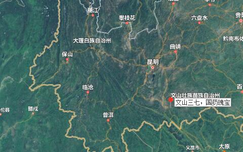 文山三七粉價(jià)格