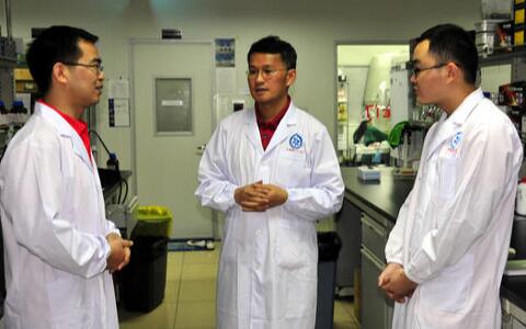 三七粉價格，三七花價格，三七的功效