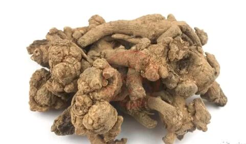 田七圖片,三七圖片