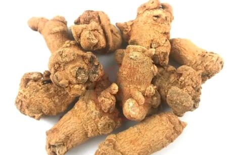 田七圖片,三七圖片