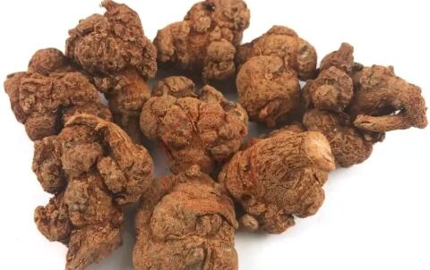 田七圖片,三七圖片