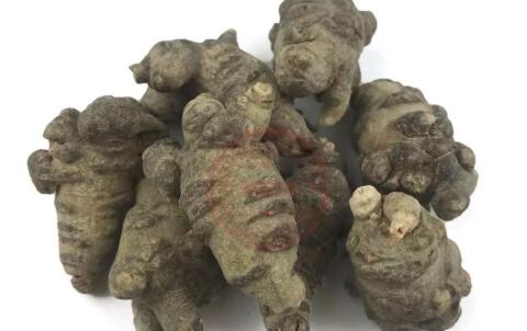 田七圖片,三七圖片