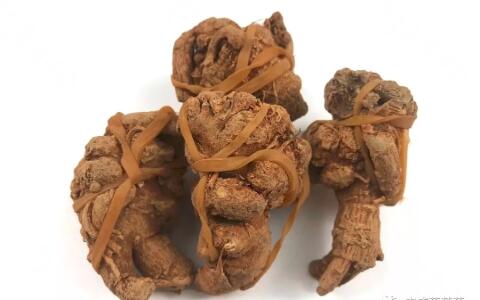 田七圖片,三七圖片