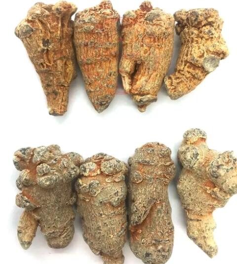 田七圖片,三七圖片