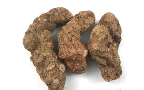 田七圖片,三七圖片