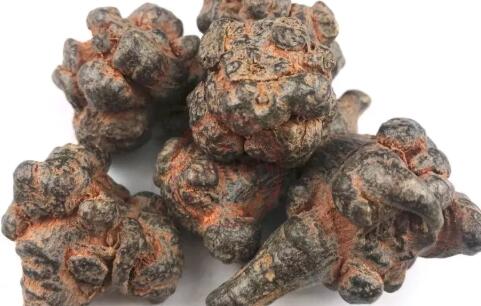 田七圖片,三七圖片