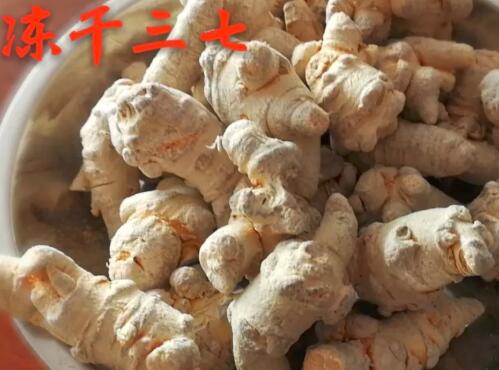 田七圖片,三七圖片