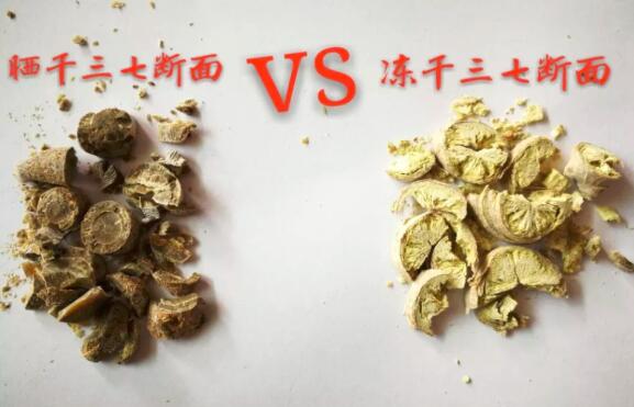 田七圖片,三七圖片