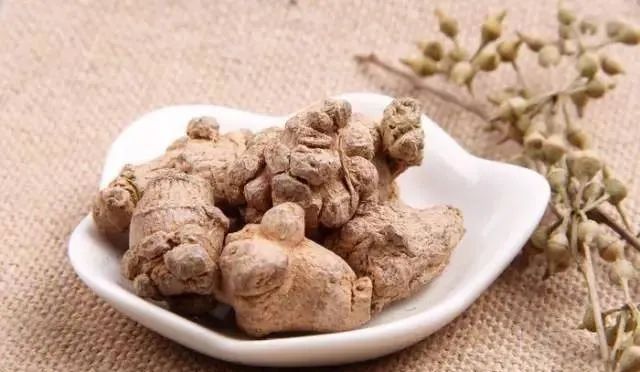 田七圖片,三七圖片