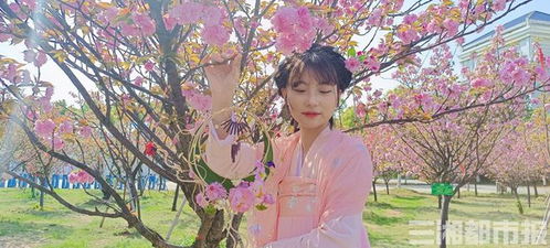 身著漢服踏歌行 岳陽職院景觀工程中的中國(guó)風(fēng)設(shè)計(jì)與實(shí)踐